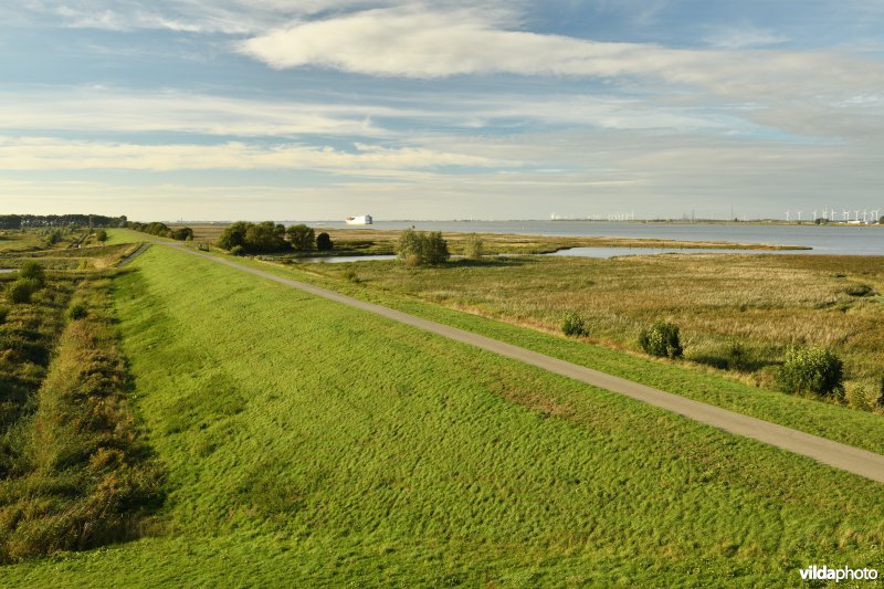 Hedwige- en Prosperpolder