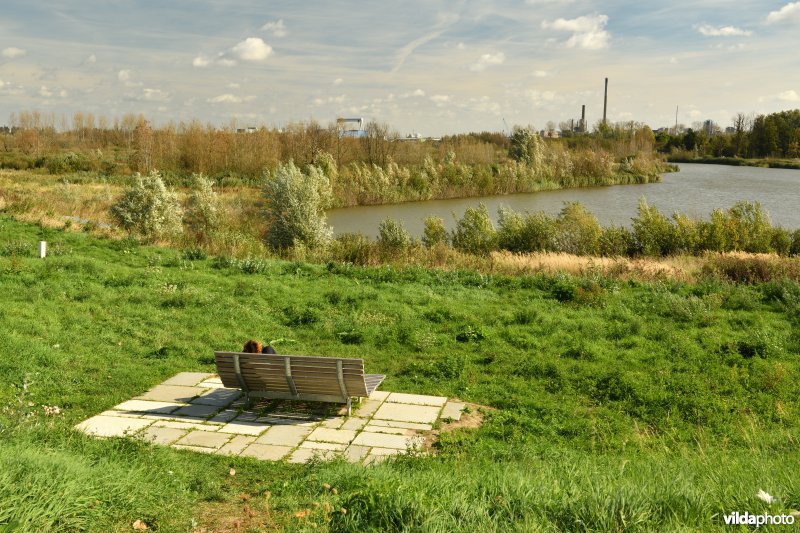 Zitbank aan de Kruibeke kreek