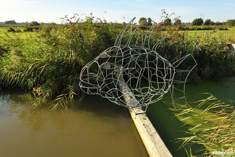 Kunstwerk op visstuw