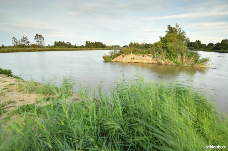 Wijmeers in de Kalkense meersen