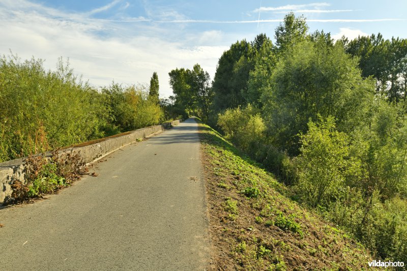 Wal-Zwijn