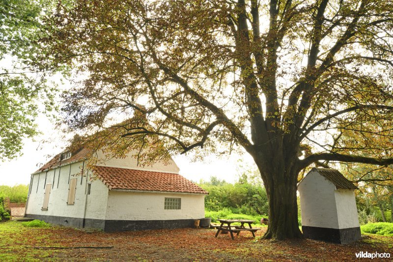 Beerkaaihuisje langs de Durme