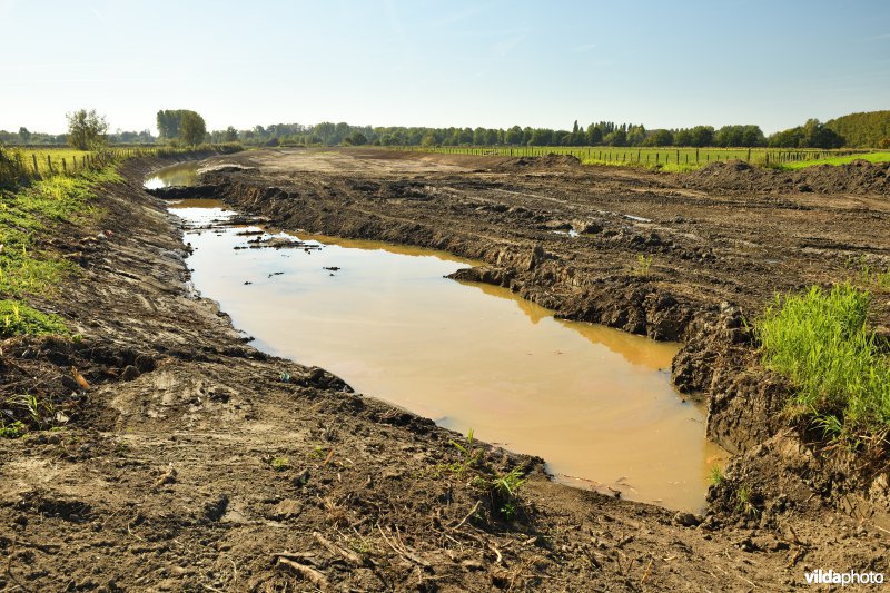 Uitgraven van oude Schelde