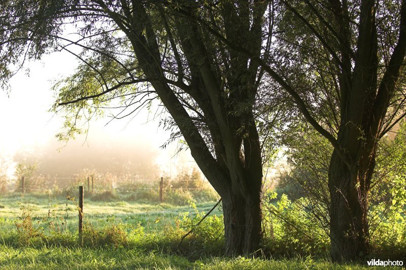 Natuurreservaat de Kevie