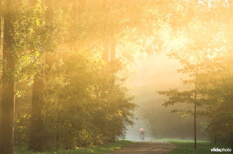 Dreef in het natuurreservaat de Kevie