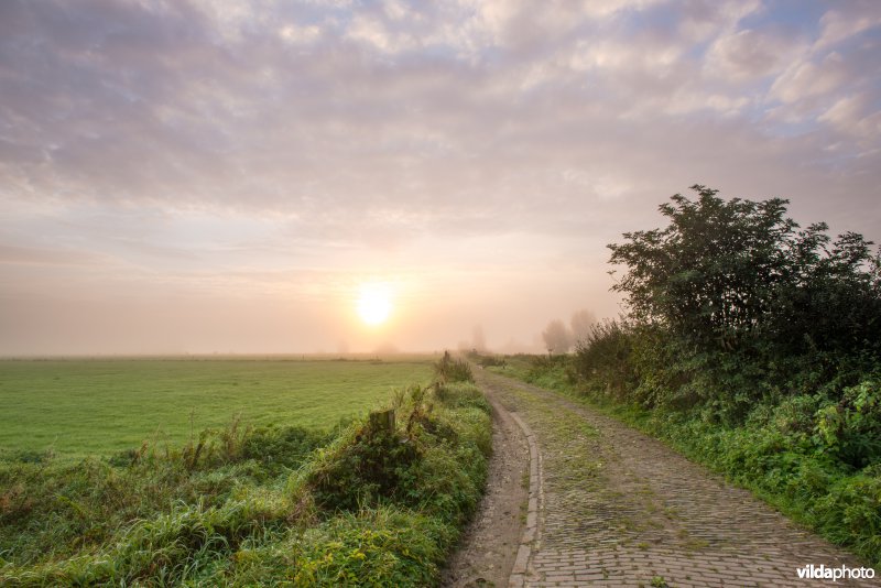 Weg in uiterwaardenlandschap