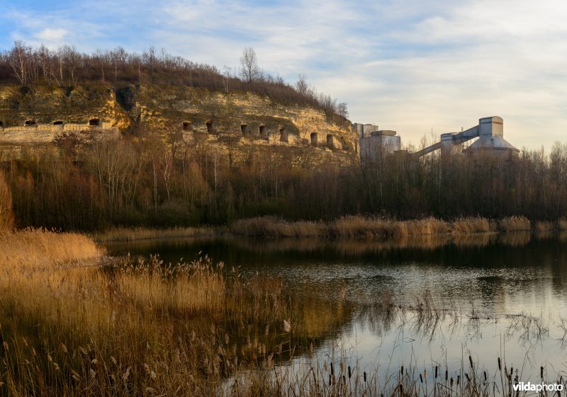 ENCI-groeve, Sint Pietersberg, Maastricht