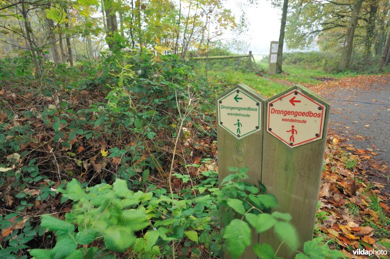 Wandelpanelen Drongengoed