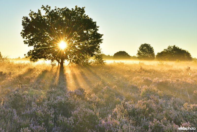 Vallei van de Kikbeek