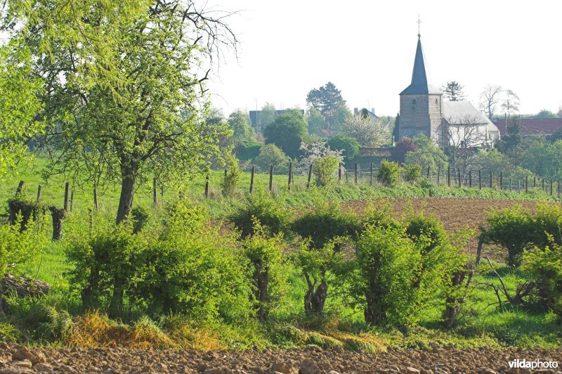 Zicht op Grootloon