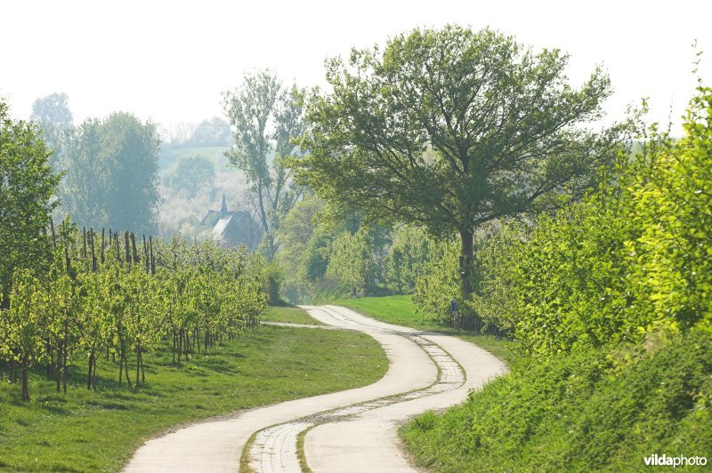 Romeinse kassei in Helshoven