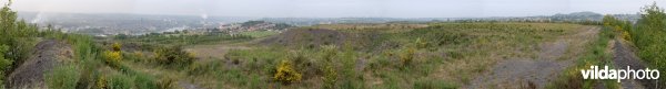 Panorama van de terril Gosson 2 bij Luik