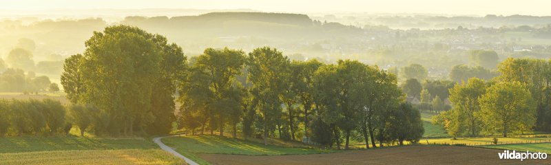 Vlaamse Ardennen