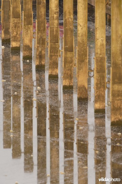 Aanleigsteiger Schulensbroek