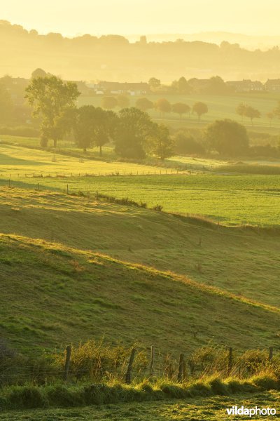 Heuvelland