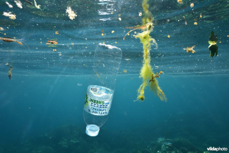 Plastic in de oceaan