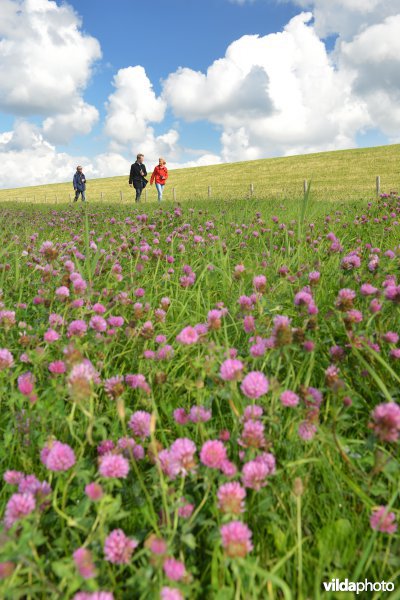 Wandelaars aan Utopia op Texel