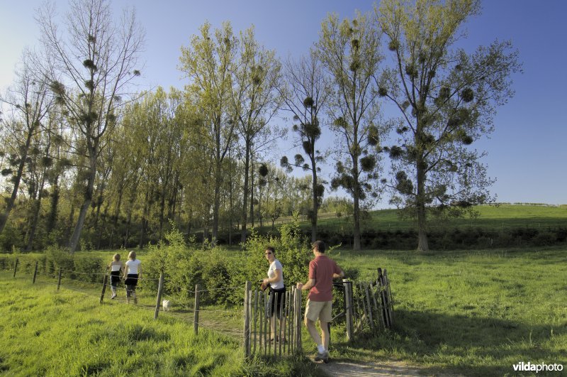 Wandelen in Vrijhern