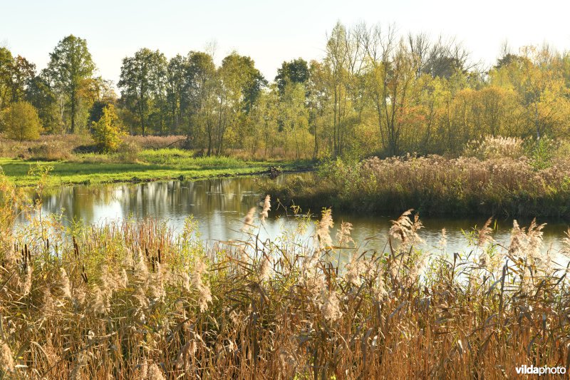 KBR polder: L-vormige vijver (R)