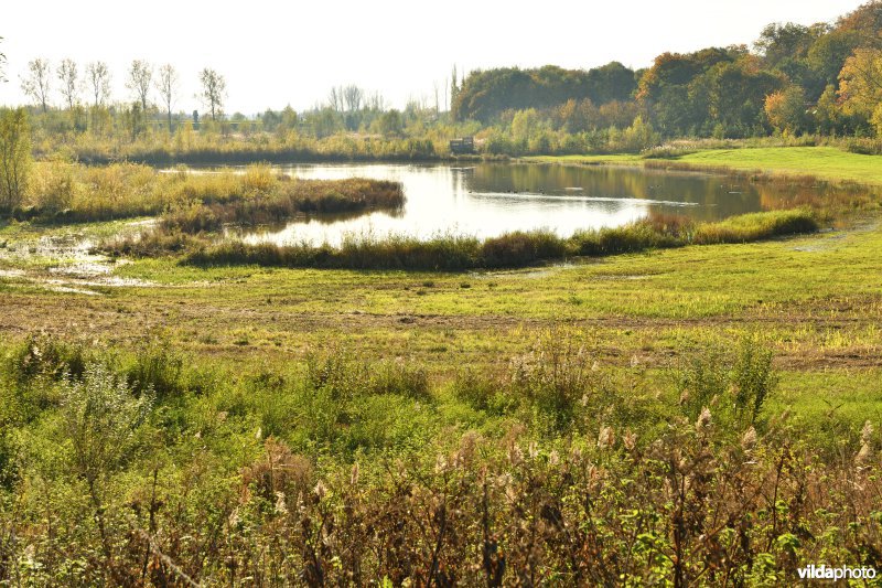 KBR polder: Schiphoekpolder (R)