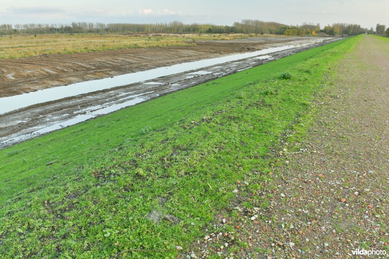 Vlassenbroekse polder