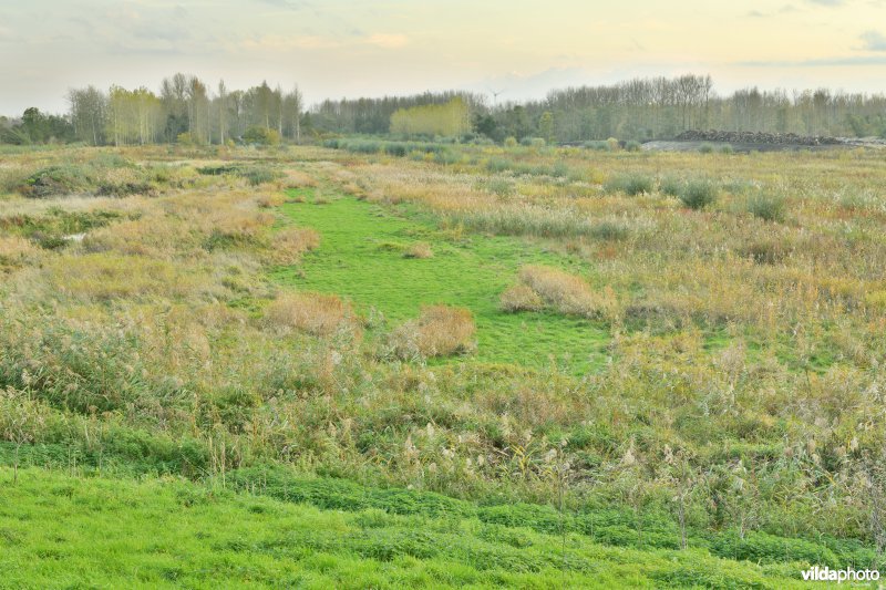 Vlassenbroekse polder
