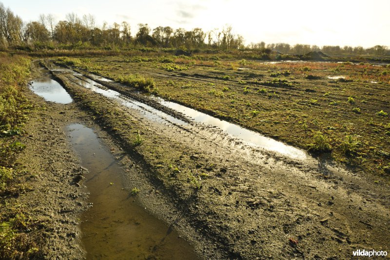 Groot Schoor in Kastel