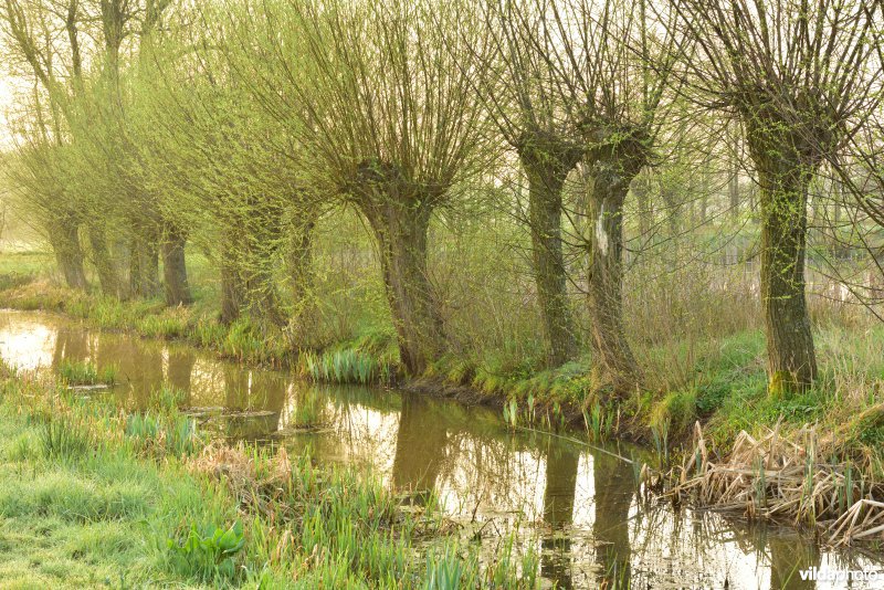 Kalkense Meersen