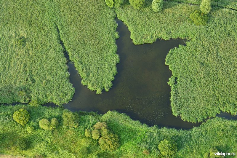 Natuurreservaat De Kuifeend