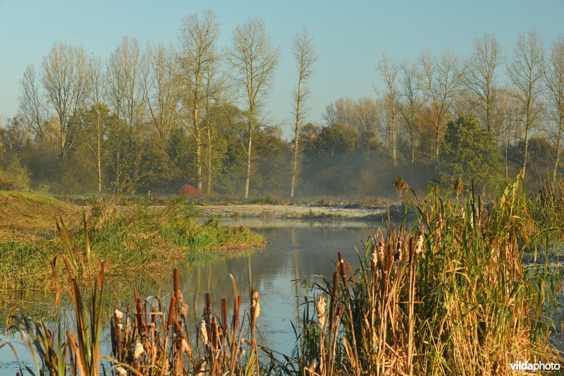 Demerbroeken