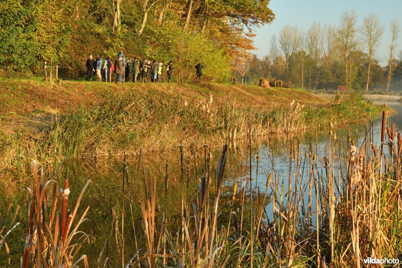 Wandelaars in de Demerbroeken
