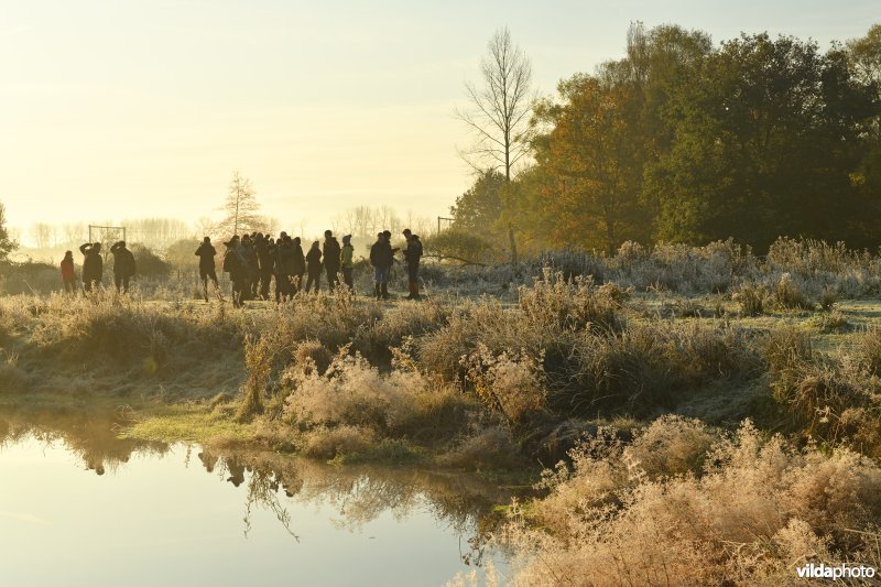 Wandelaars in de Demerbroeken