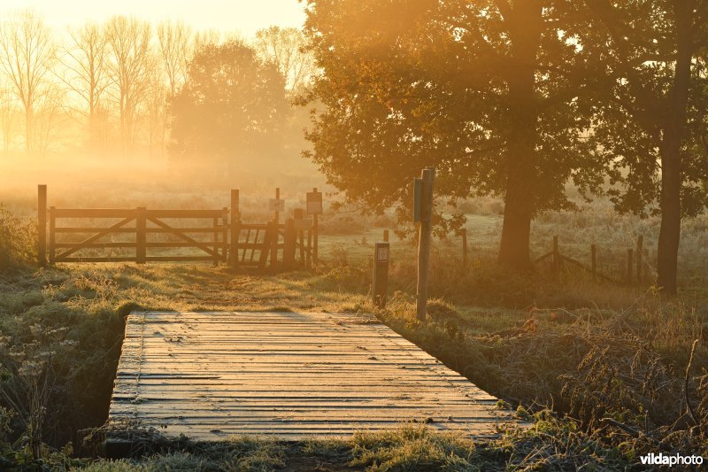 Brug over de Leigracht in de Demerbroeken