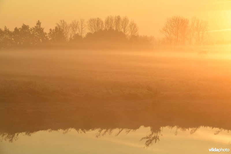 Zonsopgang aan de Demerbroeken