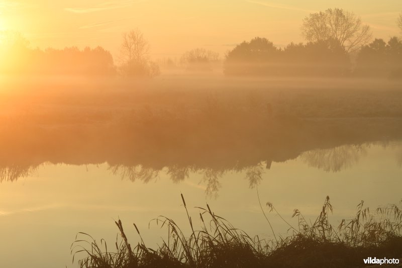 Zonsopgang aan de Demerbroeken