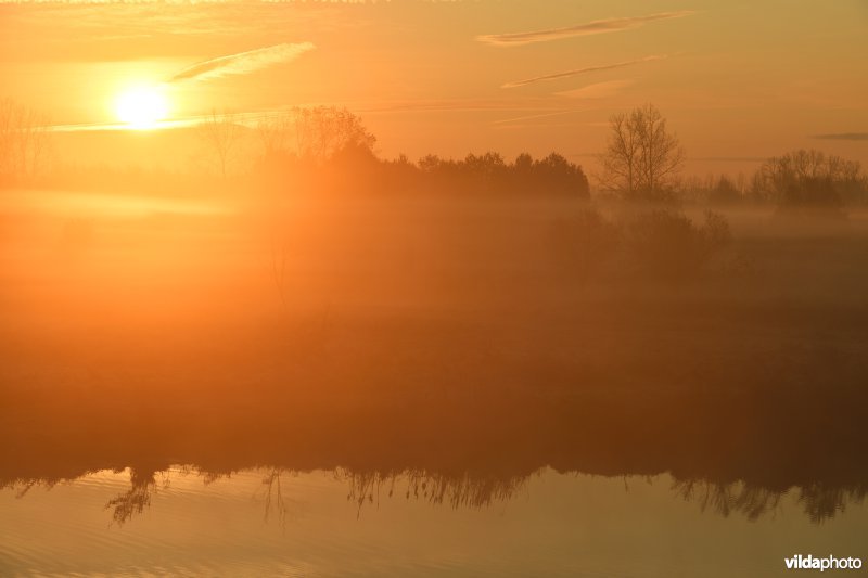 Zonsopgang aan de Demerbroeken
