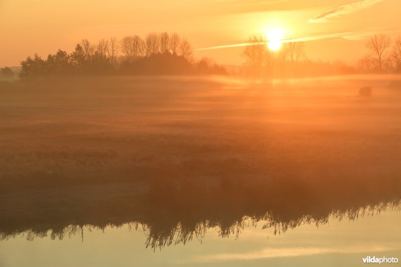 Zonsopgang aan de Demerbroeken