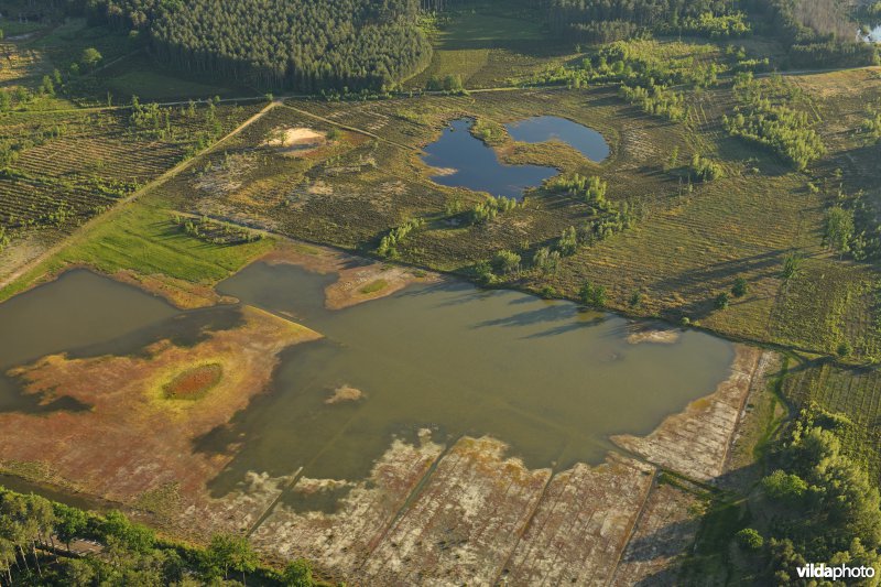 Averbode Bos en Heide