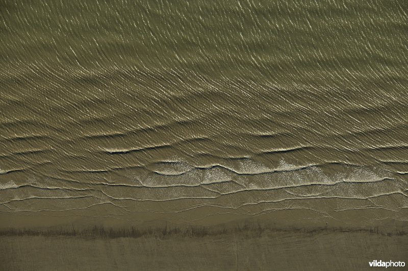 Slikken langs de Schelde