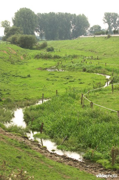 Zandbeek in de Maasuiterwaarden