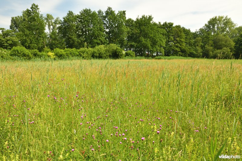 Neerhelst-De Botten