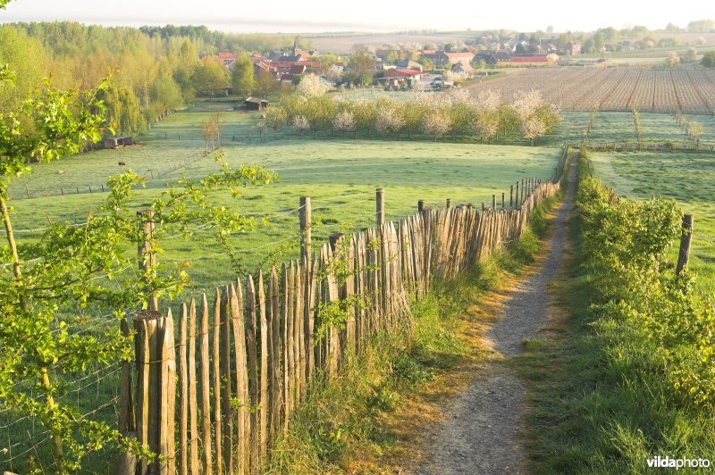 Wandelpaadje doorheen het reservaat Knoppel