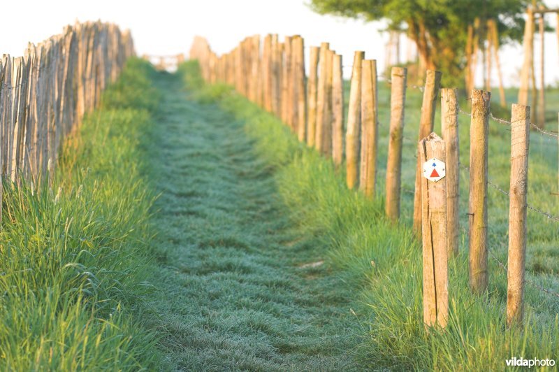 Wandelpaadje doorheen het reservaat Knoppel