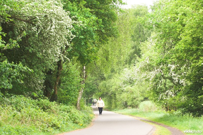 Mijnwerkerspad langs Hasard