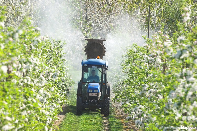 Besproeien van laagstamboomgaard met pesticiden