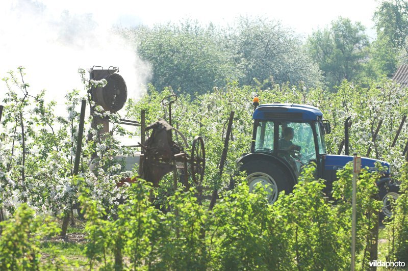 Besproeien van laagstamboomgaard met pesticiden