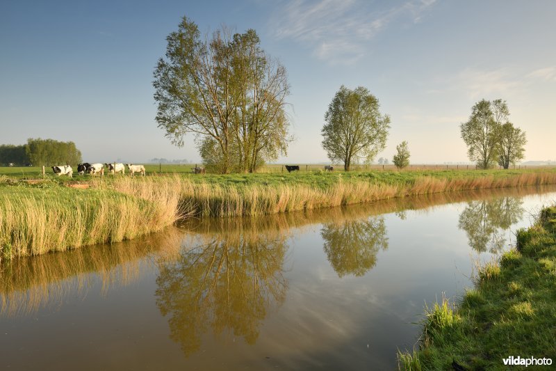 Komgronden van Lampernisse