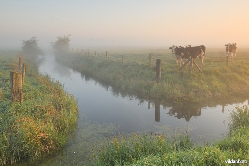 Komgronden van Lampernisse