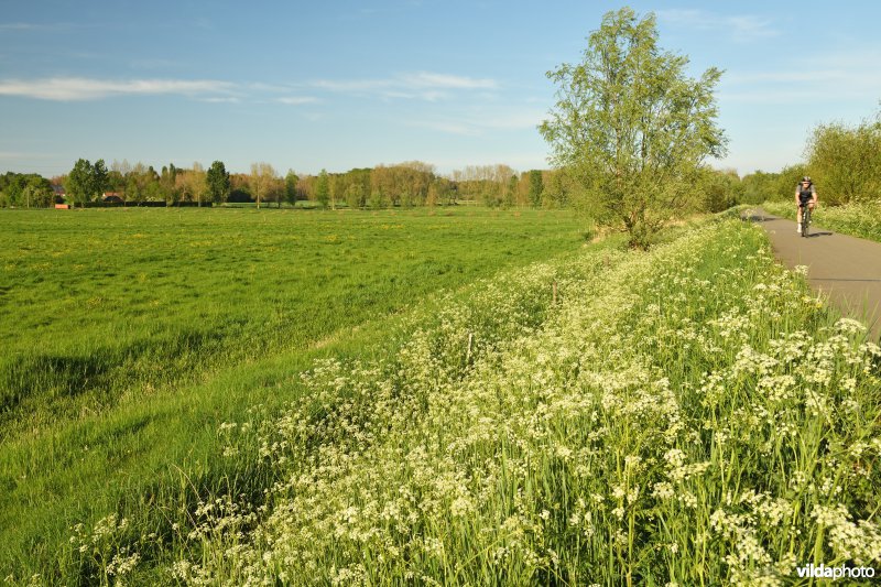 Wareslage aan de Durme