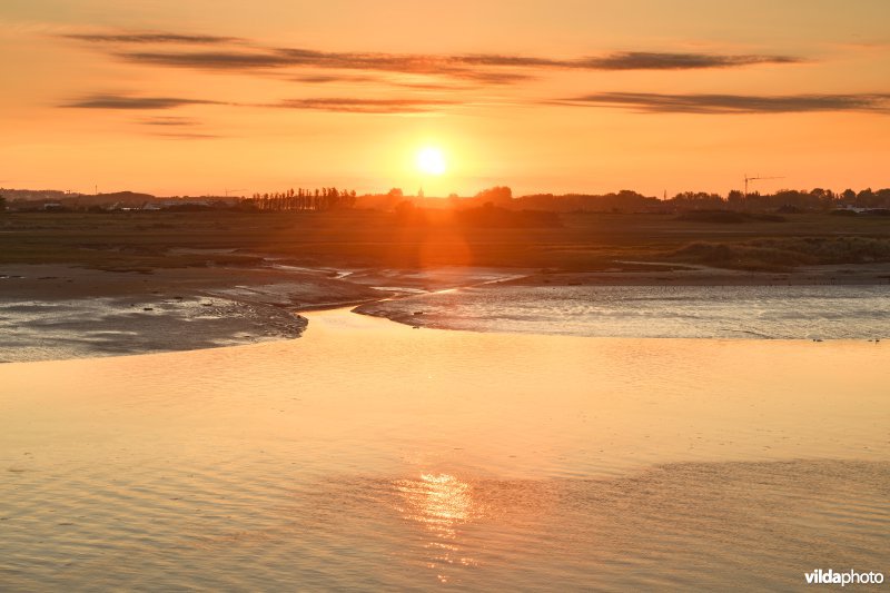 Lombardsijdekreek in de IJzermonding